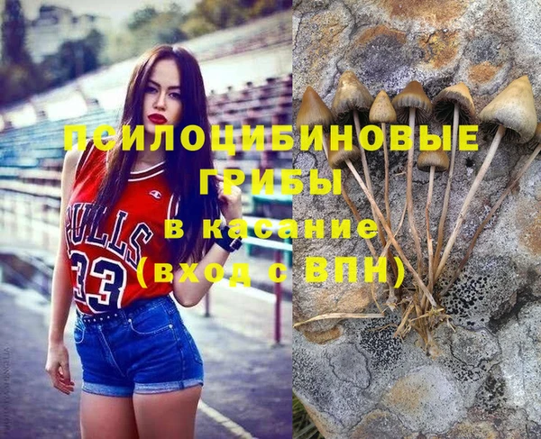 прущий лед Белокуриха